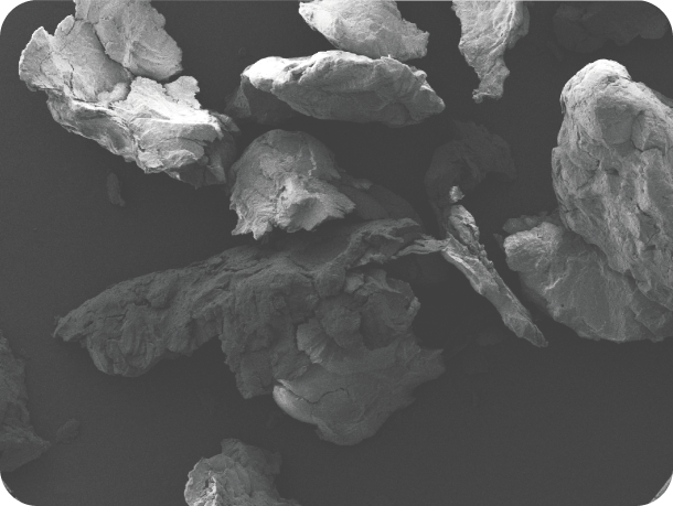 SEM image of traditional PLLA particles with uneven shape and inconsistent size